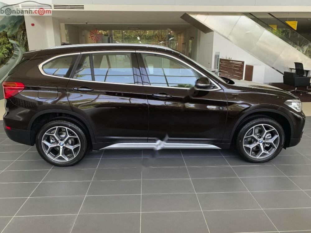 BMW X1 2019 - Cần bán xe BMW X1 đời 2019, màu nâu, xe nhập