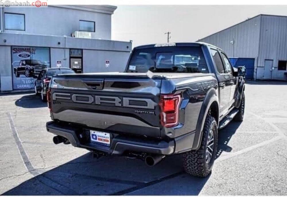 Ford F 150 Raptor 2019 - Bán Ford F 150 Raptor 2019, màu xám, xe nhập