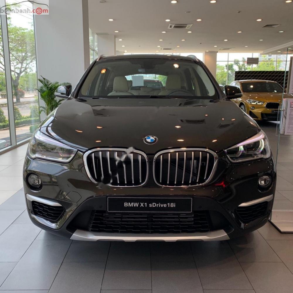 BMW X1 sDrive18i 2018 - Bán xe BMW X1 sDrive18i đời 2018, màu nâu, nhập khẩu nguyên chiếc