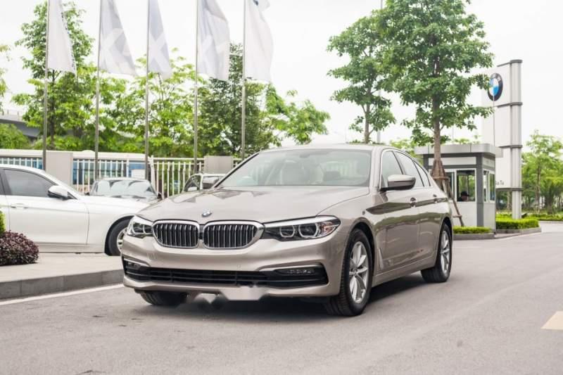 BMW 5 Series    520i 2019 - Bán BMW 520i 2019 nhập khẩu nguyên chiếc tại Đức, mới 100%, giá tốt, nhiều ưu đãi, quà tặng hấp dẫn