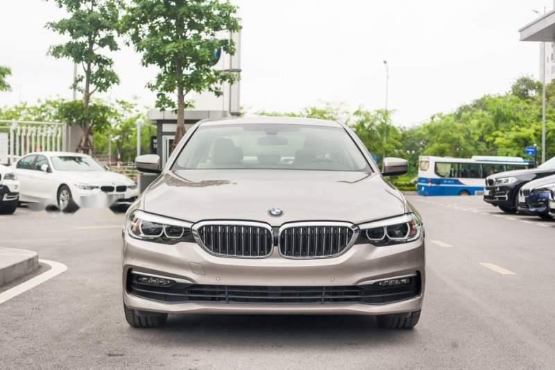 BMW 5 Series    520i 2019 - Bán BMW 520i 2019 nhập khẩu nguyên chiếc tại Đức, mới 100%, giá tốt, nhiều ưu đãi, quà tặng hấp dẫn