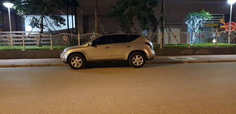 Nissan Murano  3.5 SE 2004 - Bán Nissan Murano 3.5 SE năm 2004, màu bạc, nhập khẩu nguyên chiếc Mỹ