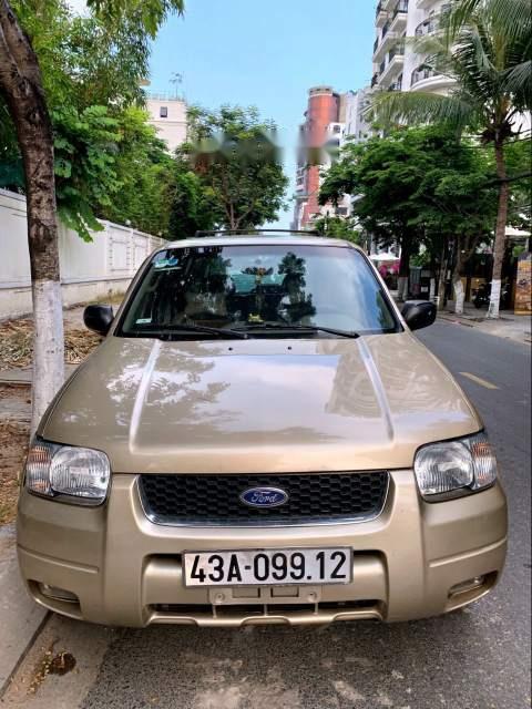 Ford Escape 3.0 V6 2002 - Cần bán lại xe Ford Escape 3.0 V6 năm sản xuất 2002, màu vàng