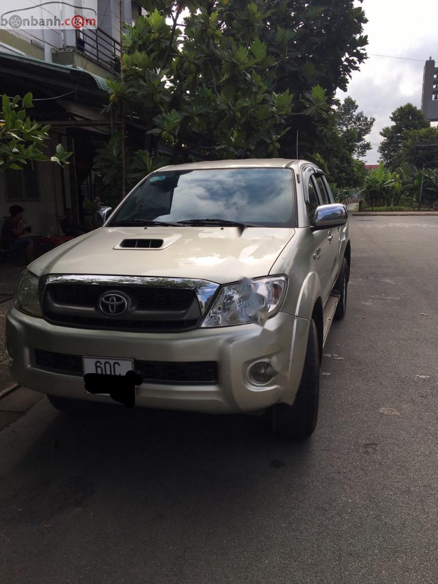 Toyota Hilux 2008 - Cần bán gấp Toyota Hilux đời 2008, màu bạc, nhập khẩu nguyên chiếc 