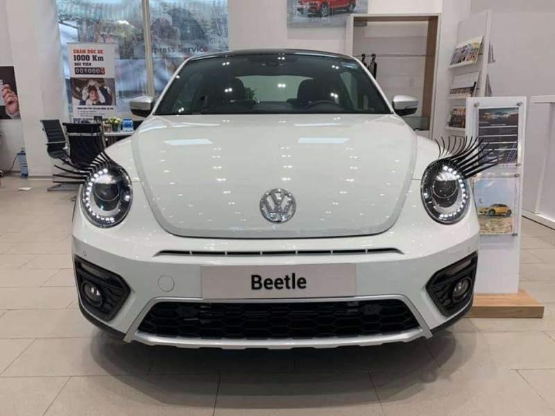 Volkswagen Beetle   2019 - Bán xe Volkswagen Beetle 2019, màu trắng, xe nhập