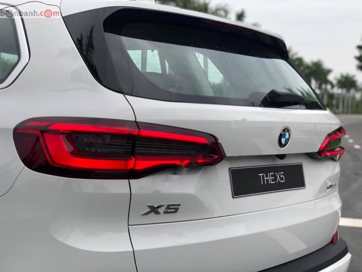 BMW X5 xDrive35i 2019 - Bán BMW X5 xDrive35i 2019, màu trắng, nhập khẩu  