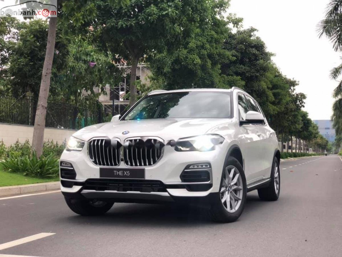 BMW X5 xDrive35i 2019 - Bán BMW X5 xDrive35i 2019, màu trắng, nhập khẩu  