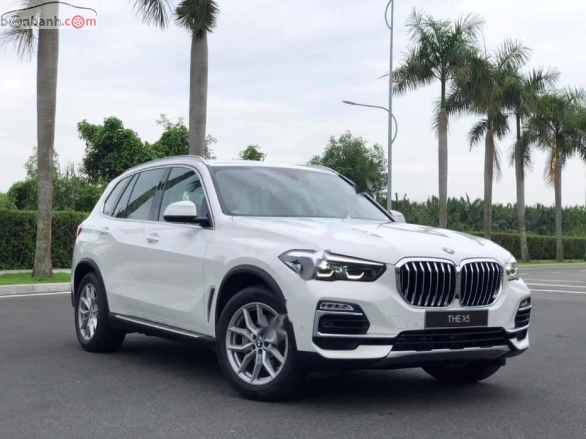 BMW X5 xDrive35i 2019 - Bán BMW X5 xDrive35i 2019, màu trắng, nhập khẩu  