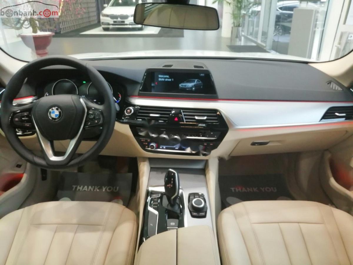 BMW 5 Series 520i 2018 - Bán xe BMW 520i năm 2018, màu trắng, xe nhập