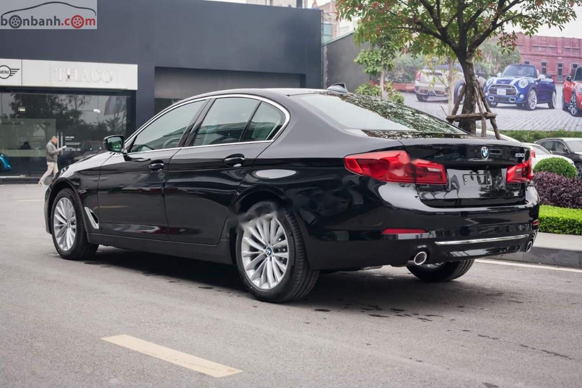 BMW 5 Series 530i Luxury Line 2019 - Bán BMW 530i Luxury Line 2019, màu đen, nhập khẩu