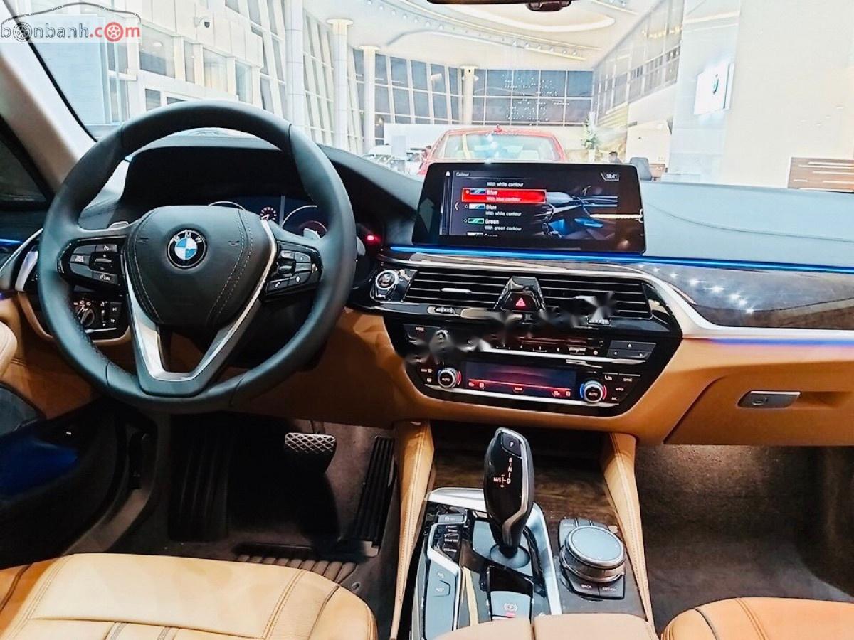 BMW 5 Series 530i 2018 - Cần bán xe BMW 5 Series 530i đời 2018, màu nâu, nhập khẩu