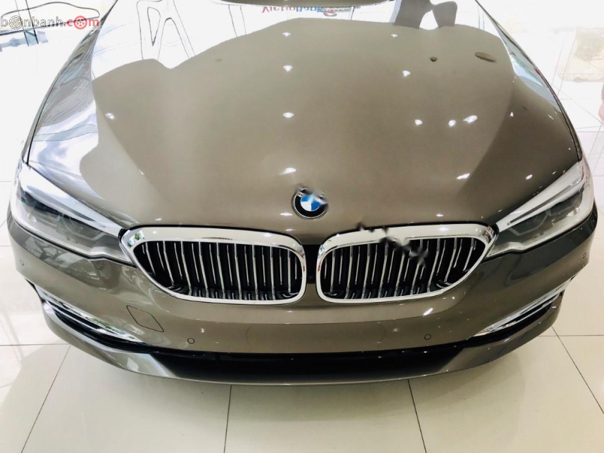 BMW 5 Series 530i 2018 - Cần bán xe BMW 5 Series 530i đời 2018, màu nâu, nhập khẩu