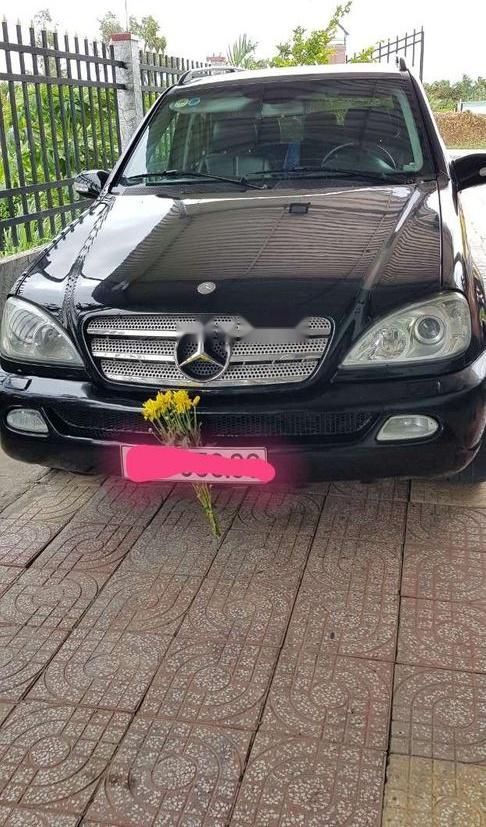 Mercedes-Benz ML Class   ML 320   2002 - Bán Mercedes ML 320 năm sản xuất 2002, màu đen, nhập khẩu số tự động