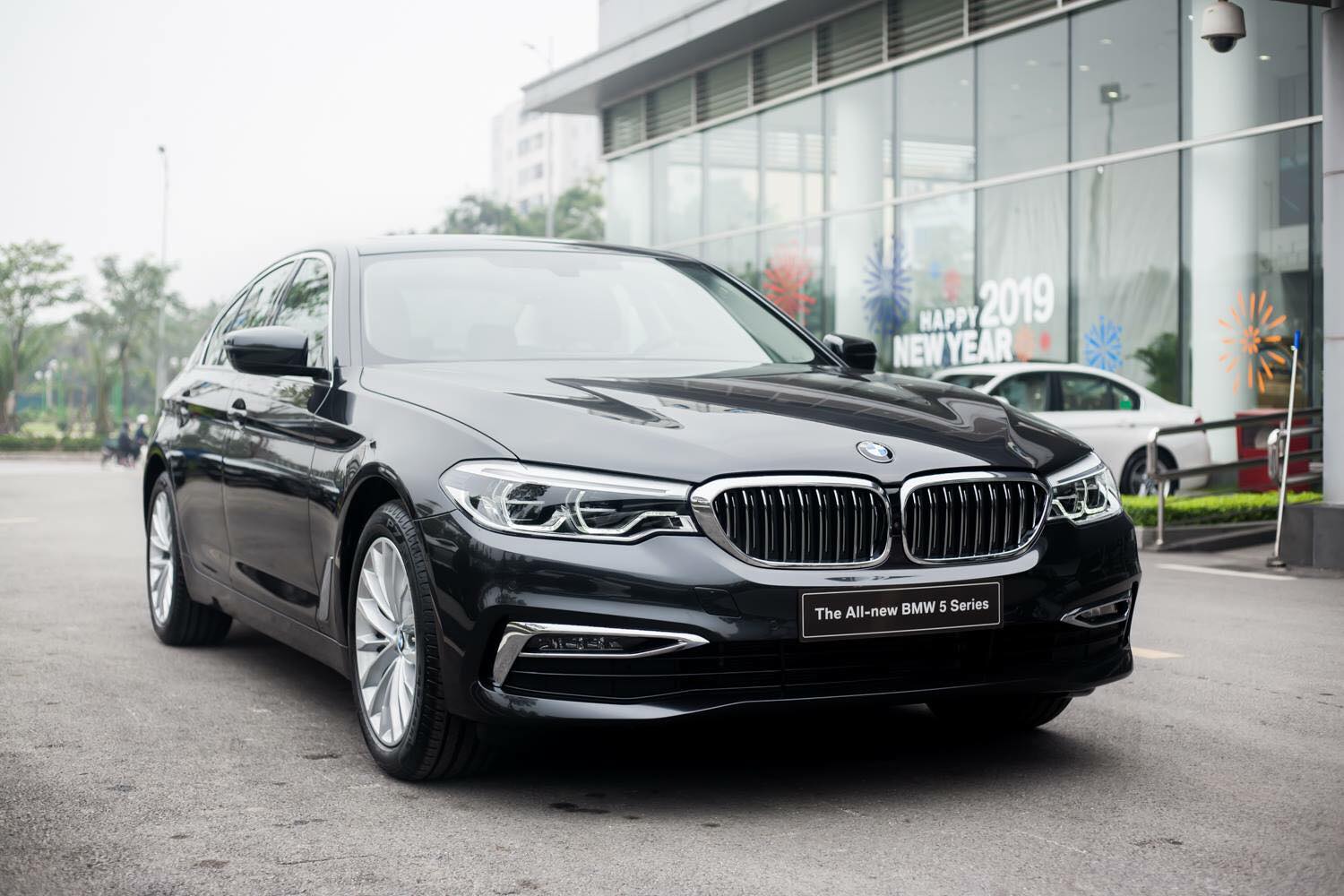 BMW 5 Series 530i  2019 - BMW 530i Luxury Line - Nhập khẩu từ Đức mới 100% - giảm 120 triệu