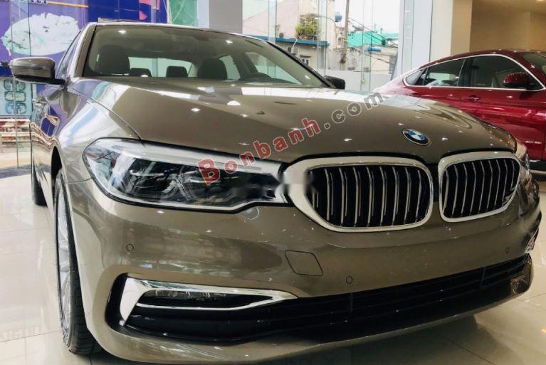 BMW 5 Series 530i 2019 - Bán BMW 5 Series 530i đời 2019, màu nâu