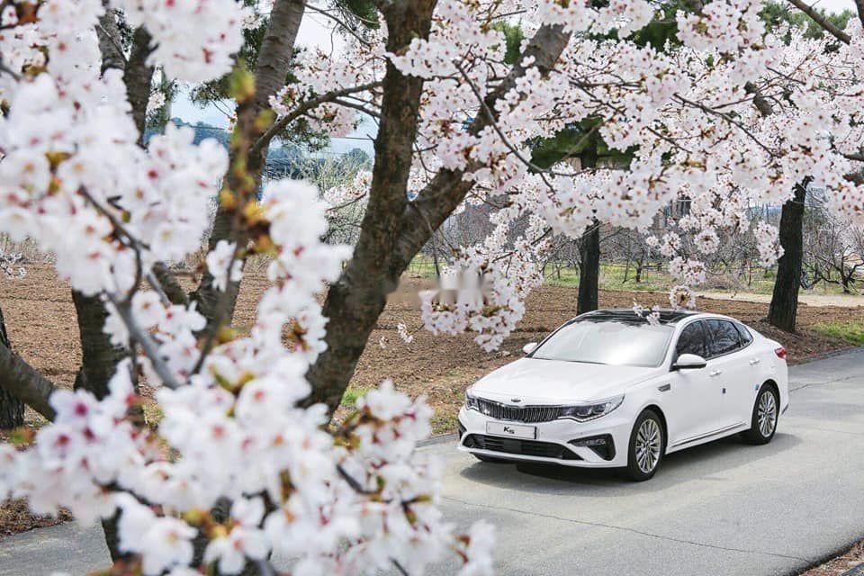 Kia Optima 2019 - Bán ô tô Kia Optima năm 2019, màu trắng, 789 triệu