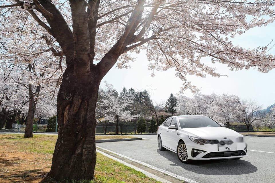 Kia Optima 2019 - Bán ô tô Kia Optima năm 2019, màu trắng, 789 triệu