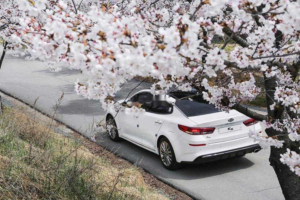 Kia Optima 2019 - Bán ô tô Kia Optima năm 2019, màu trắng, 789 triệu