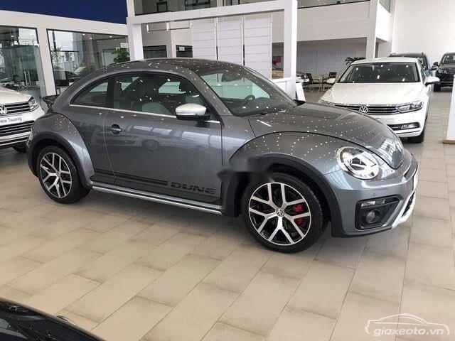 Volkswagen Beetle   Dune  2019 - Bán Volkswagen Beetle Dune năm 2019, màu xám, nhập khẩu  