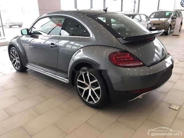 Volkswagen Beetle   Dune  2019 - Bán Volkswagen Beetle Dune năm 2019, màu xám, nhập khẩu  