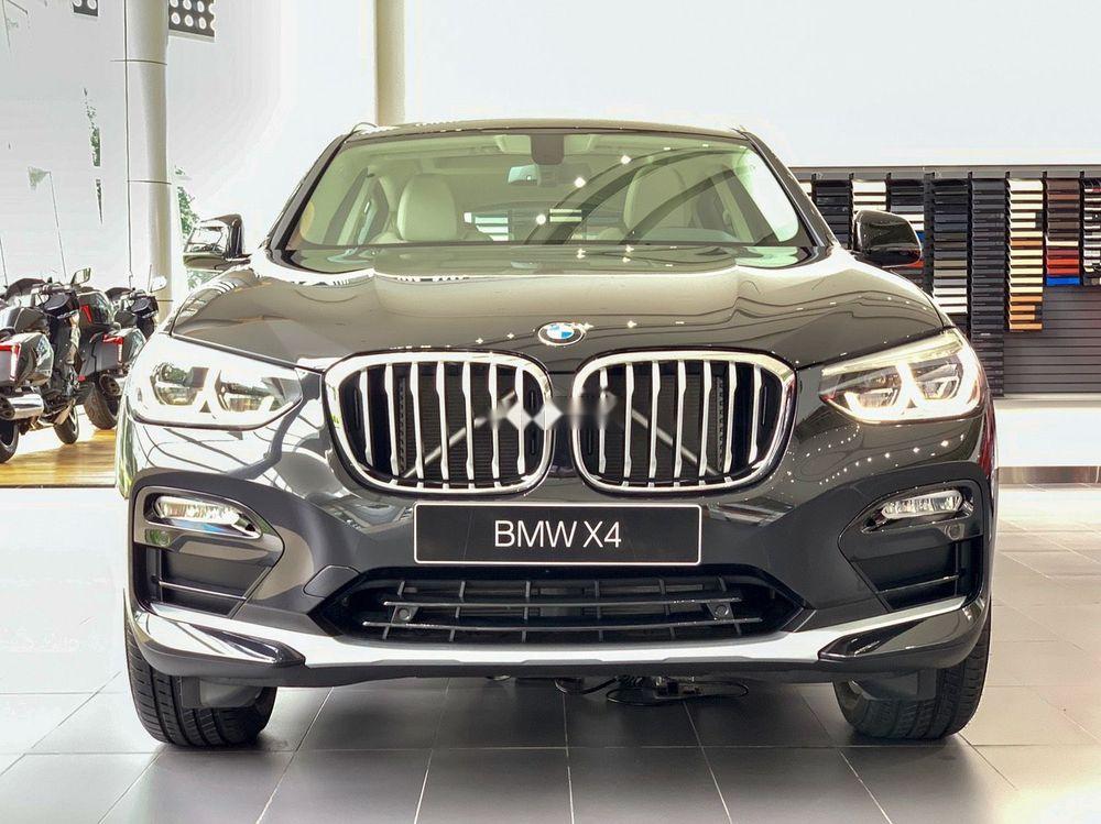 BMW X4   xDrive 20i 2019 - Cần bán xe BMW X4 xDrive 20i năm sản xuất 2019, nhập khẩu nguyên chiếc