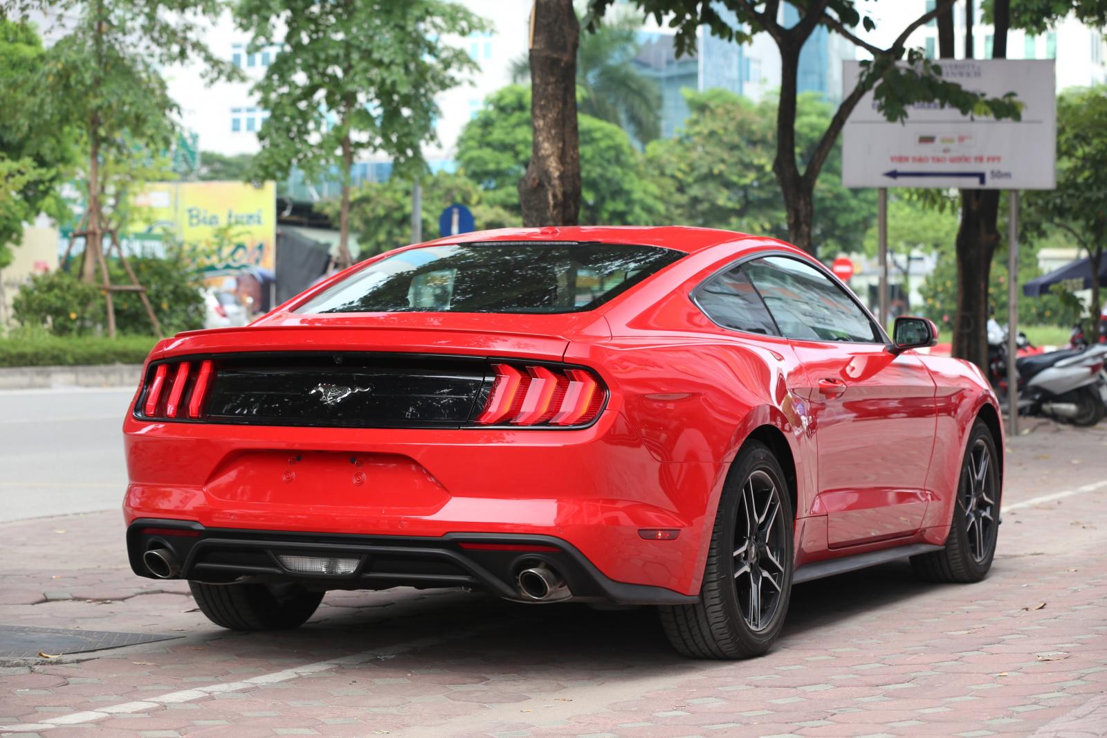 Ford Mustang   2019 - Ford Mustang 2.3 EcoBoost Fastback 2019, màu đỏ