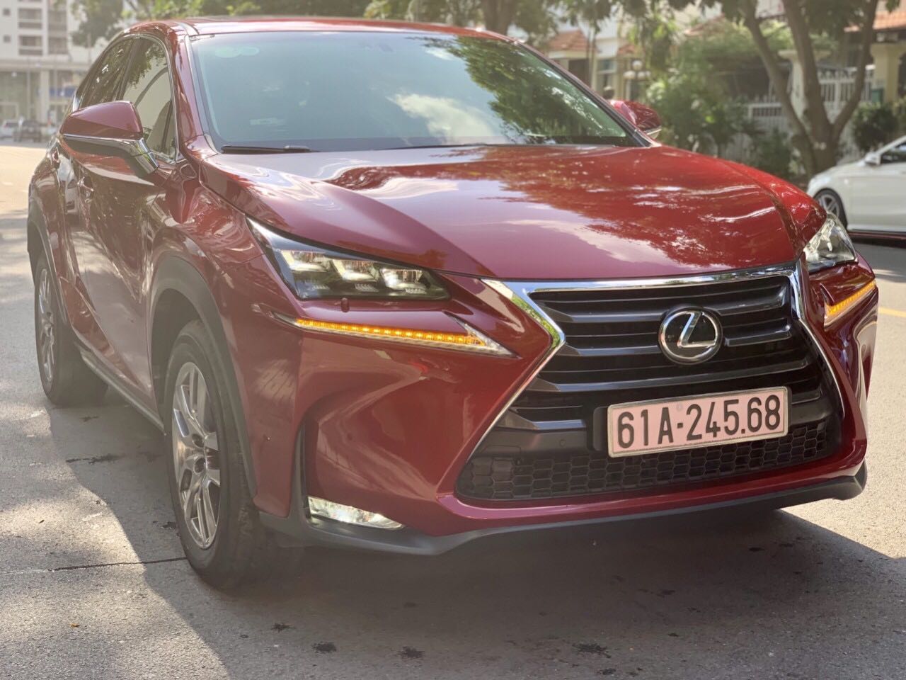 Lexus NX 2016 - Bán Lexus NX đăng ký lần đầu 2016, màu đỏ, nhập khẩu nguyên chiếc