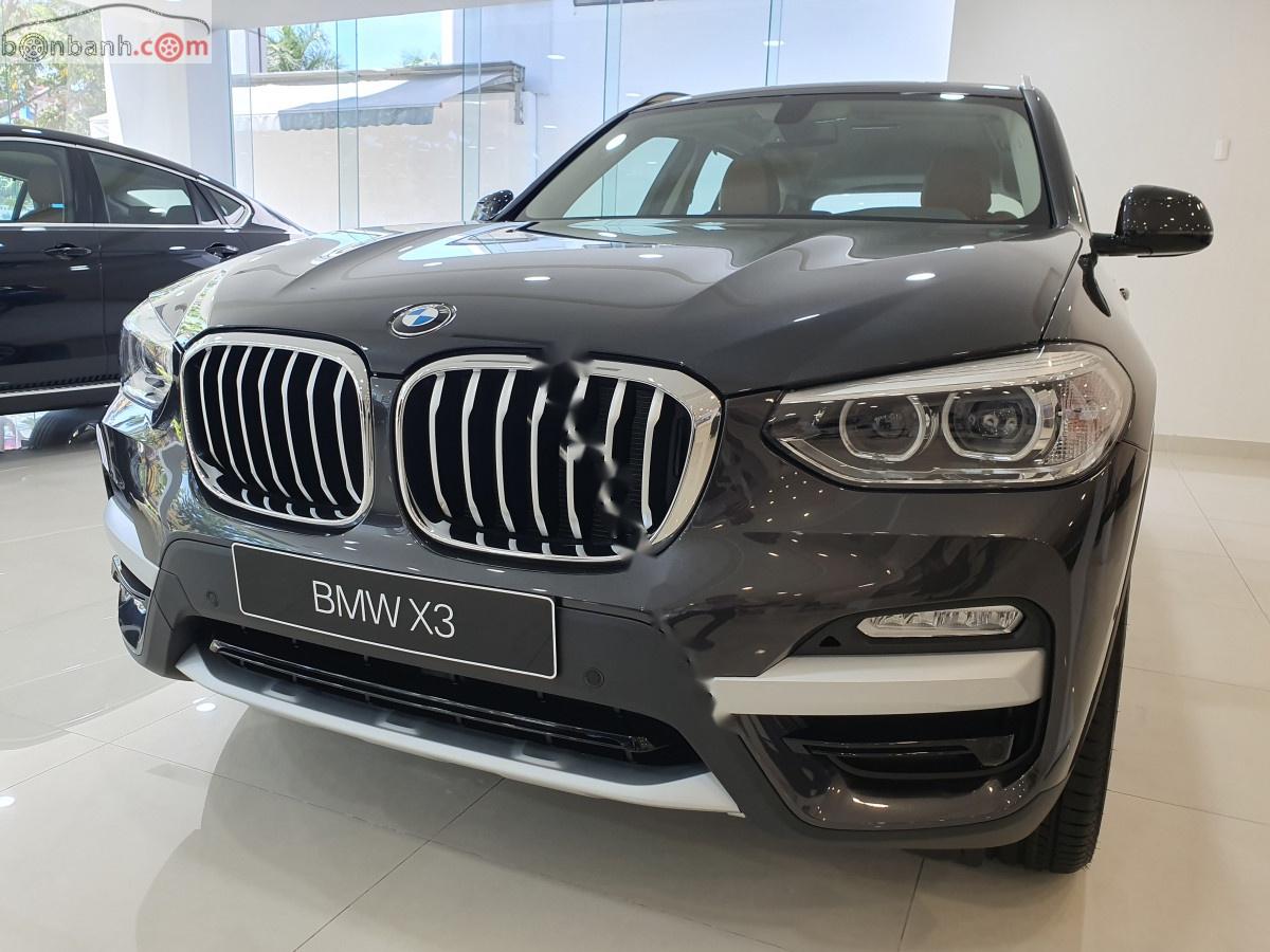 BMW X3   2019 - Bán BMW X3 năm sản xuất 2019, nhập khẩu  