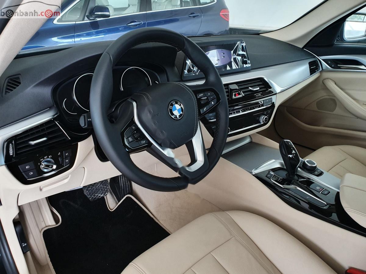 BMW 5 Series   2019 - Bán BMW 525i đời 2019, màu đen, xe nhập