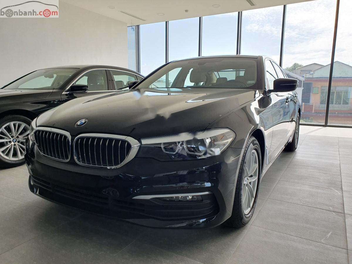 BMW 5 Series   2019 - Bán BMW 525i đời 2019, màu đen, xe nhập