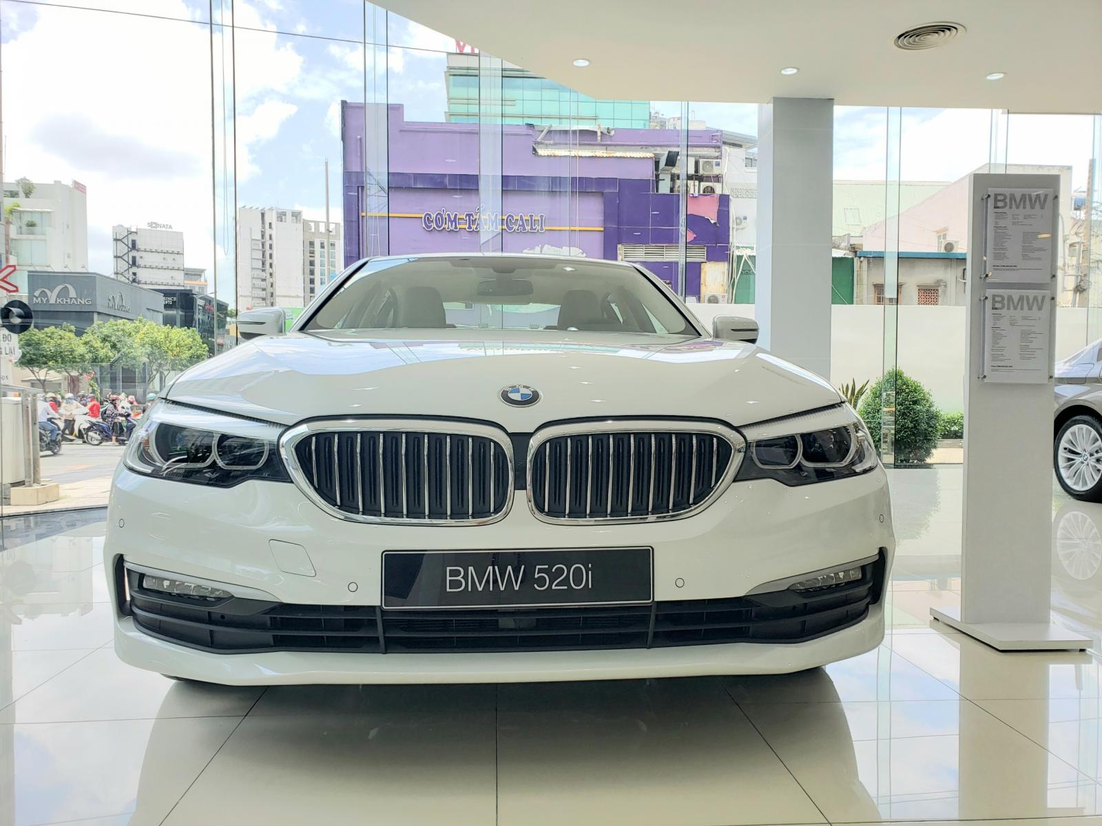 BMW 5 Series 2019 - BMW 5 Series 520i, màu trắng, nhập khẩu Đức, sang trọng, đẳng cấp