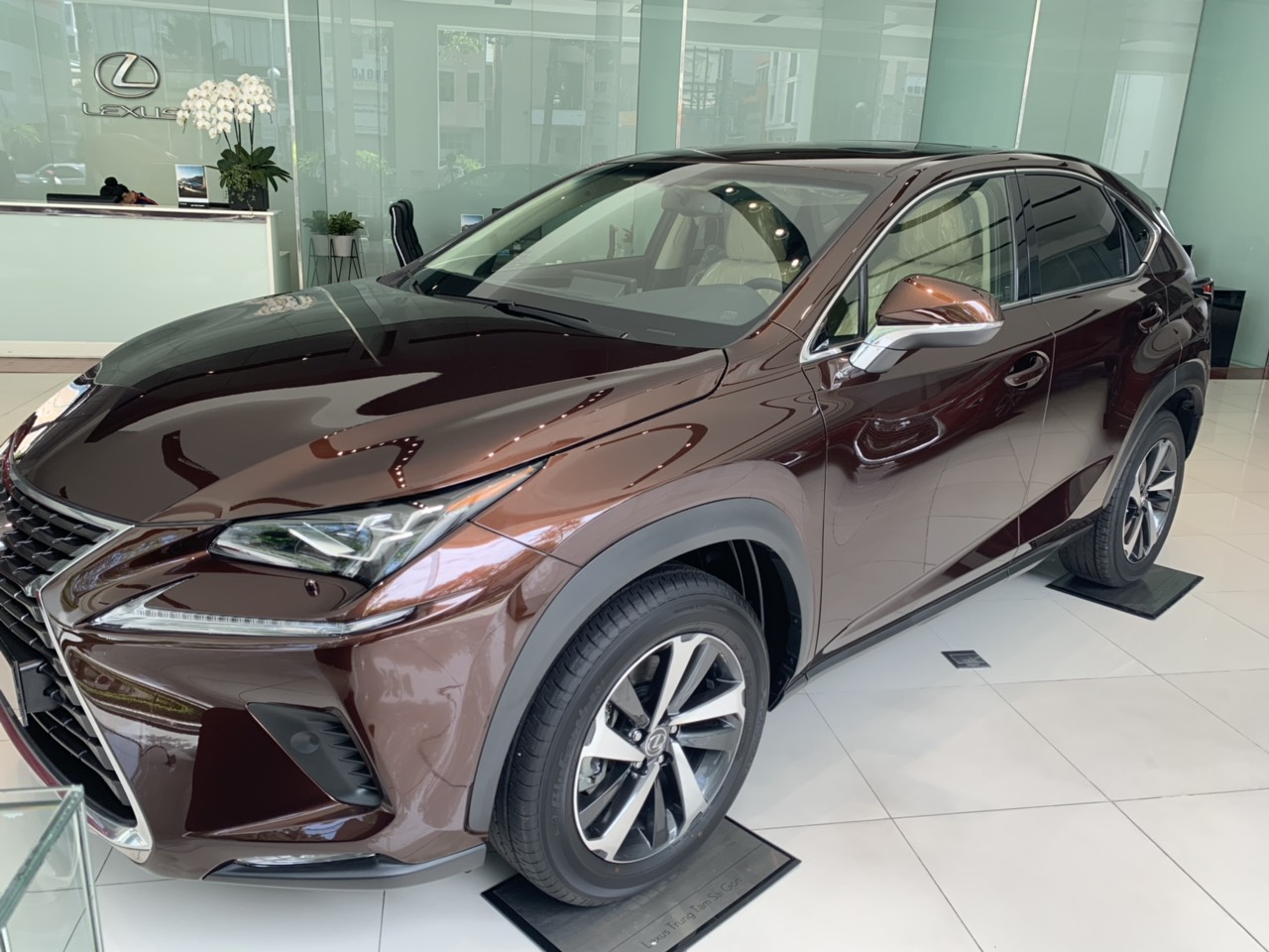 Lexus NX 2019 - Bán Lexus NX đời 2019, nhập khẩu