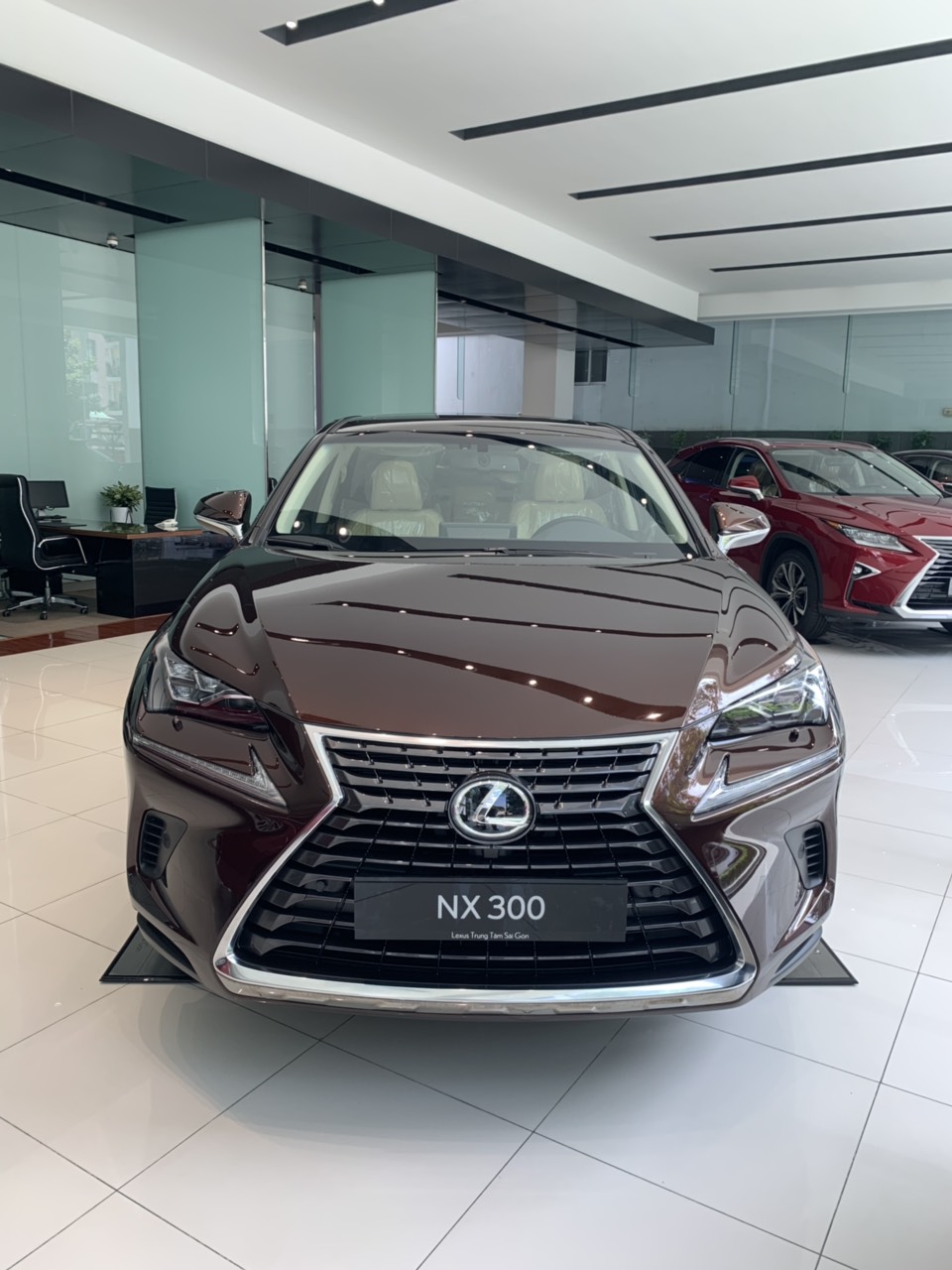 Lexus NX 2019 - Bán Lexus NX đời 2019, nhập khẩu