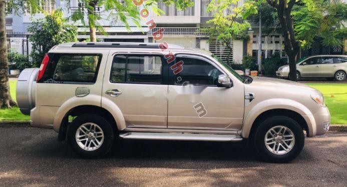 Ford Everest 2009 - Bán Ford Everest sản xuất 2009, màu vàng