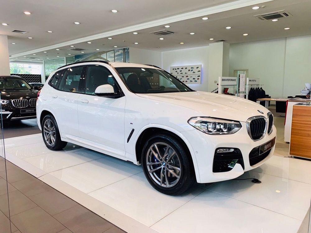 BMW X3 2019 - Bán ô tô BMW X3 2019, màu trắng, nhập khẩu nguyên chiếc