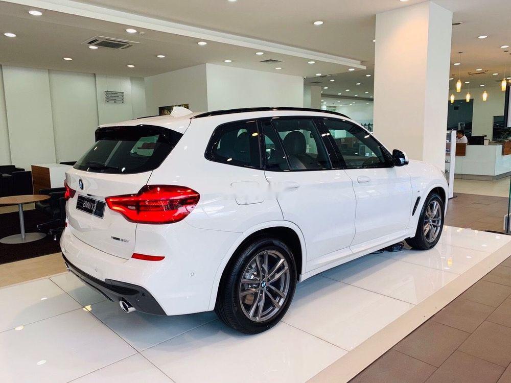 BMW X3 2019 - Bán ô tô BMW X3 2019, màu trắng, nhập khẩu nguyên chiếc