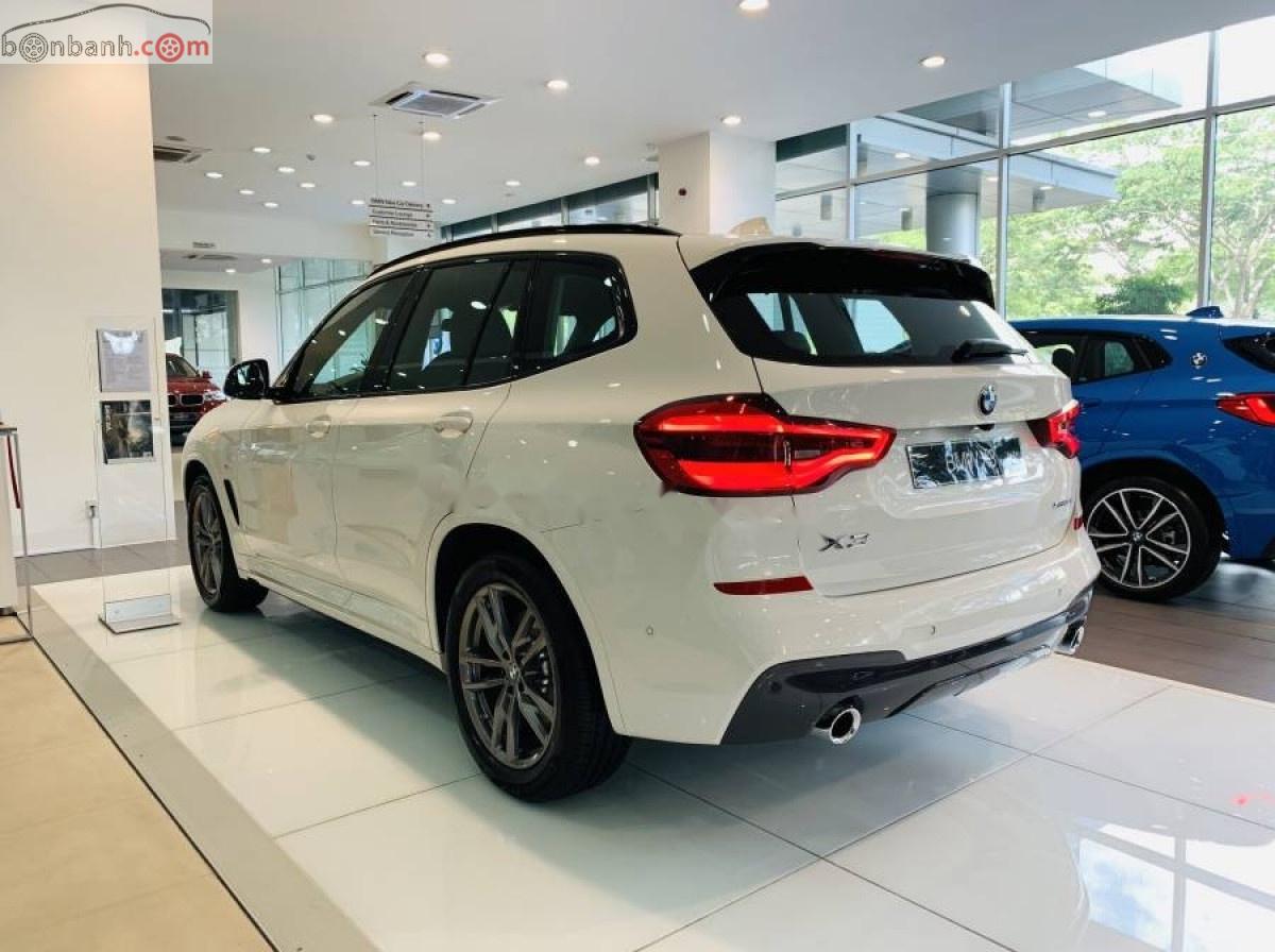 BMW X3 2019 - Bán xe BMW X3 xDrive20i đời 2019, màu trắng, xe nhập