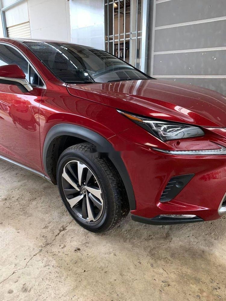 Lexus NX 30 2018 - Chính chủ bán xe Lexus NX 300 sản xuất 2018, màu đỏ