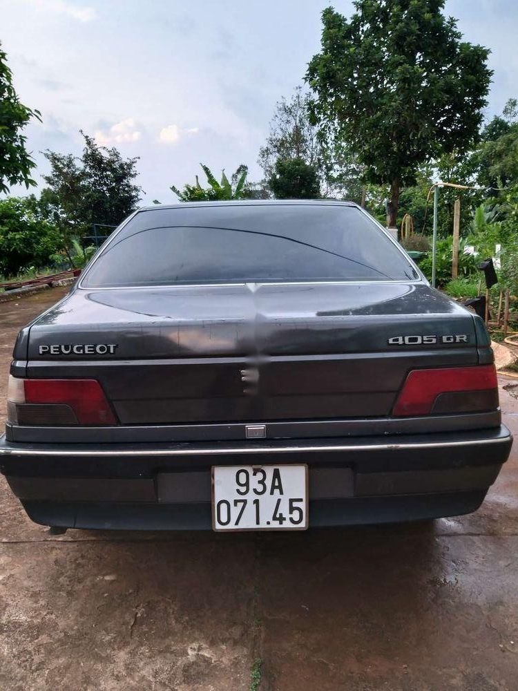 Peugeot 405 1995 - Bán Peugeot 405 đời 1995, xe nhập