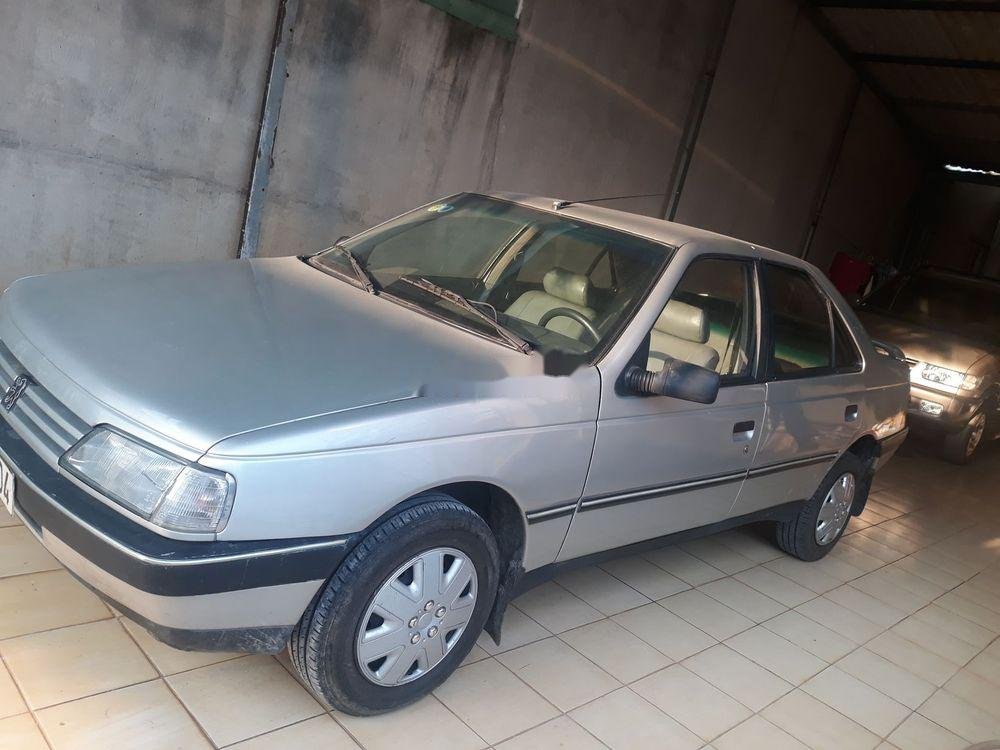 Peugeot 405 1992 - Bán Peugeot 405 sản xuất 1992, nhập khẩu nguyên chiếc, giá chỉ 41 triệu