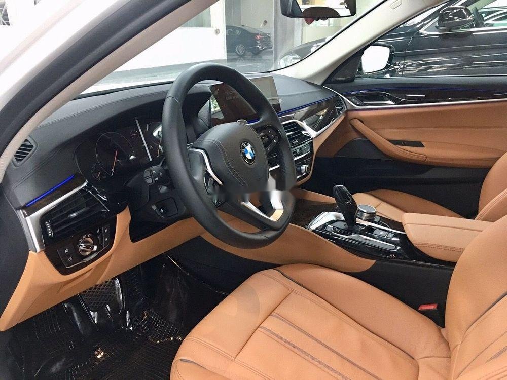 BMW 5 Series 2019 - Bán xe BMW 520i sản xuất năm 2019, màu trắng