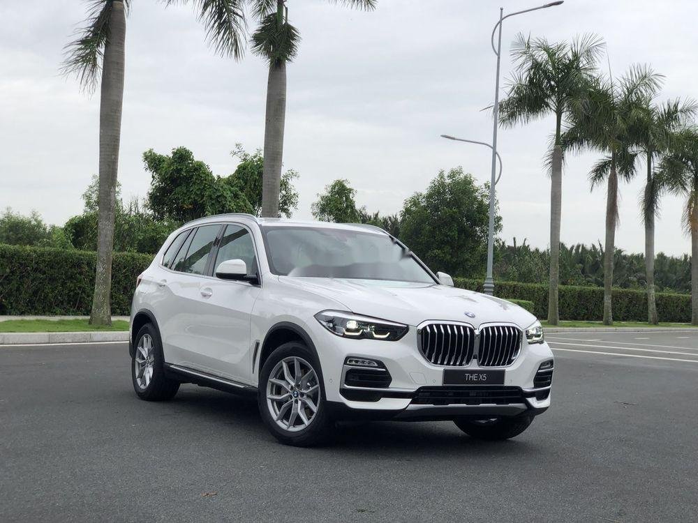 BMW X5 2019 - Cần bán xe BMW X5 sản xuất năm 2019, màu trắng