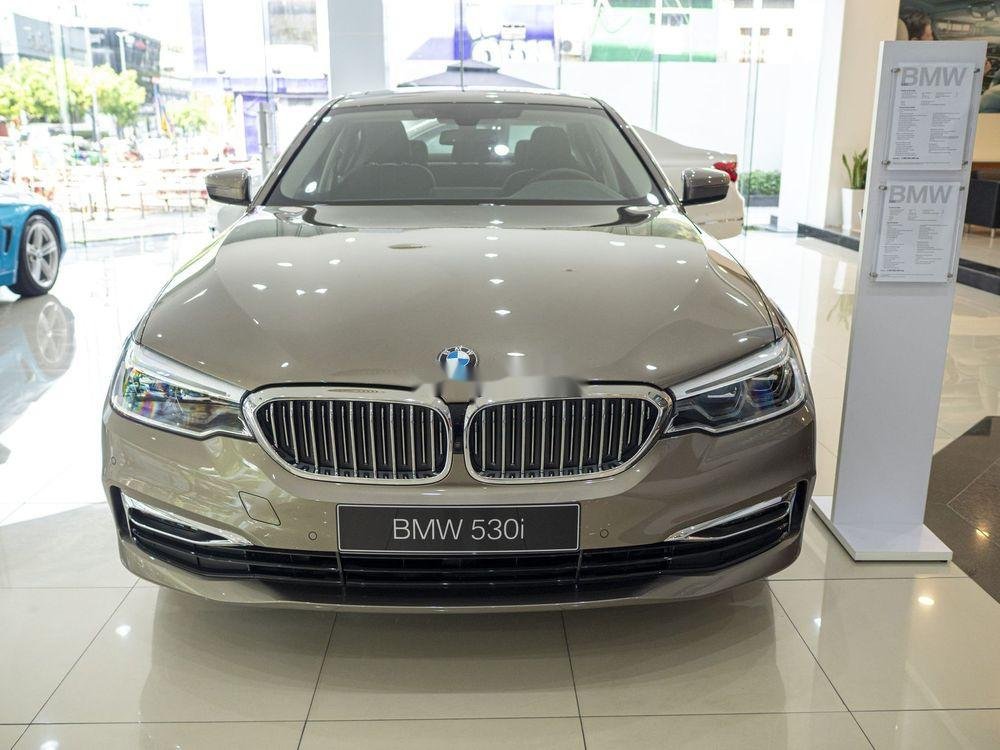 BMW 5 Series   2019 - Cần bán xe BMW 530i đời 2019, màu vàng, nhập khẩu