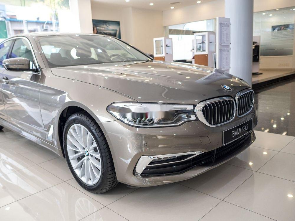 BMW 5 Series   2019 - Cần bán xe BMW 530i đời 2019, màu vàng, nhập khẩu