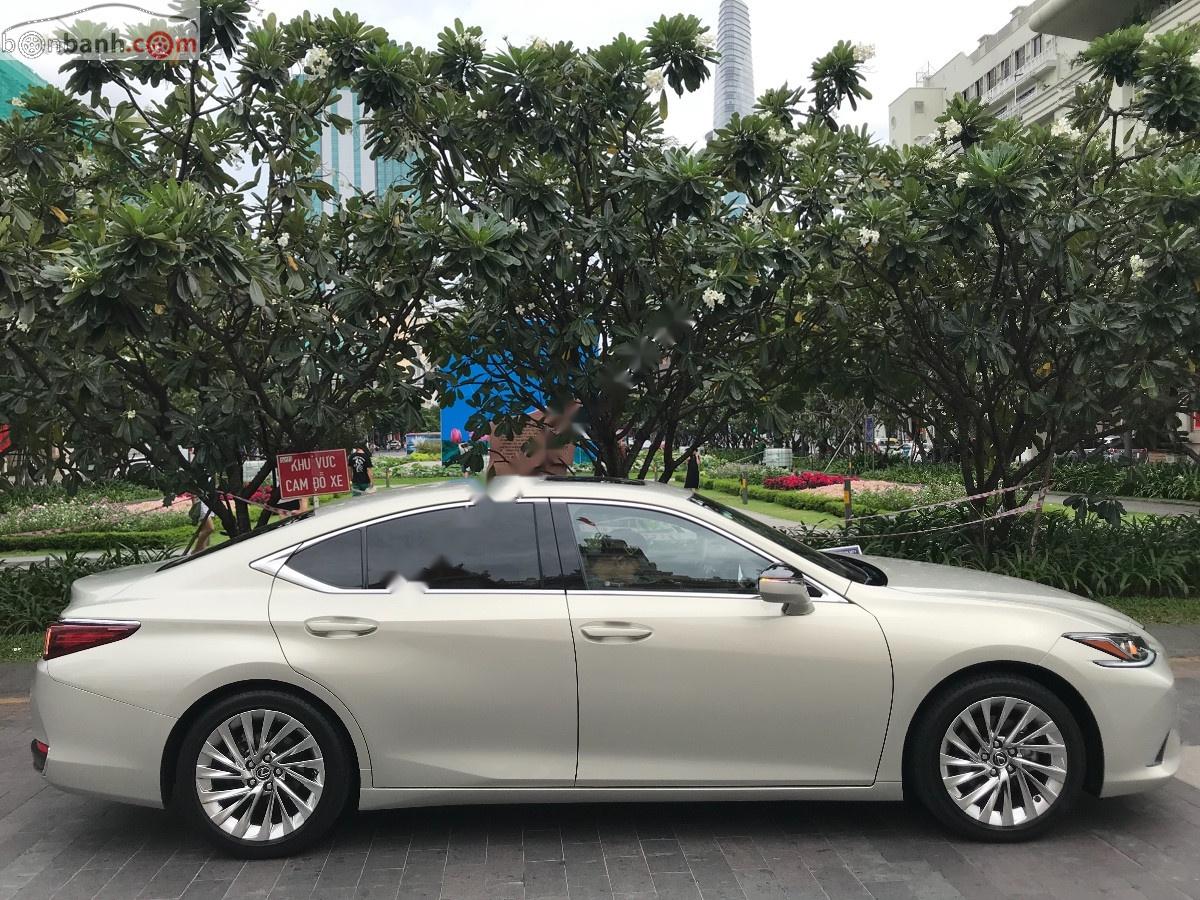 Lexus ES 2019 - Bán Lexus ES 250 2019, màu vàng, nhập khẩu nguyên chiếc