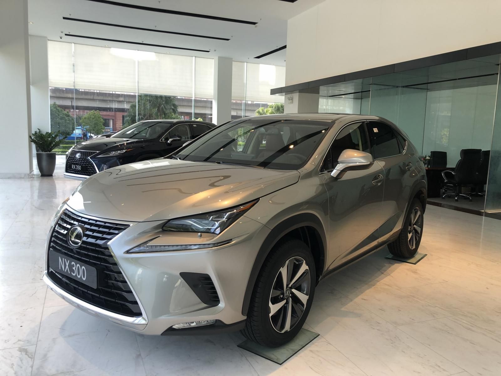 Lexus NX 2019 - Bán giảm giá cuối năm chiếc xe Lexus NX300, sản xuất 2019, màu bạc, nhập khẩu nguyên chiếc