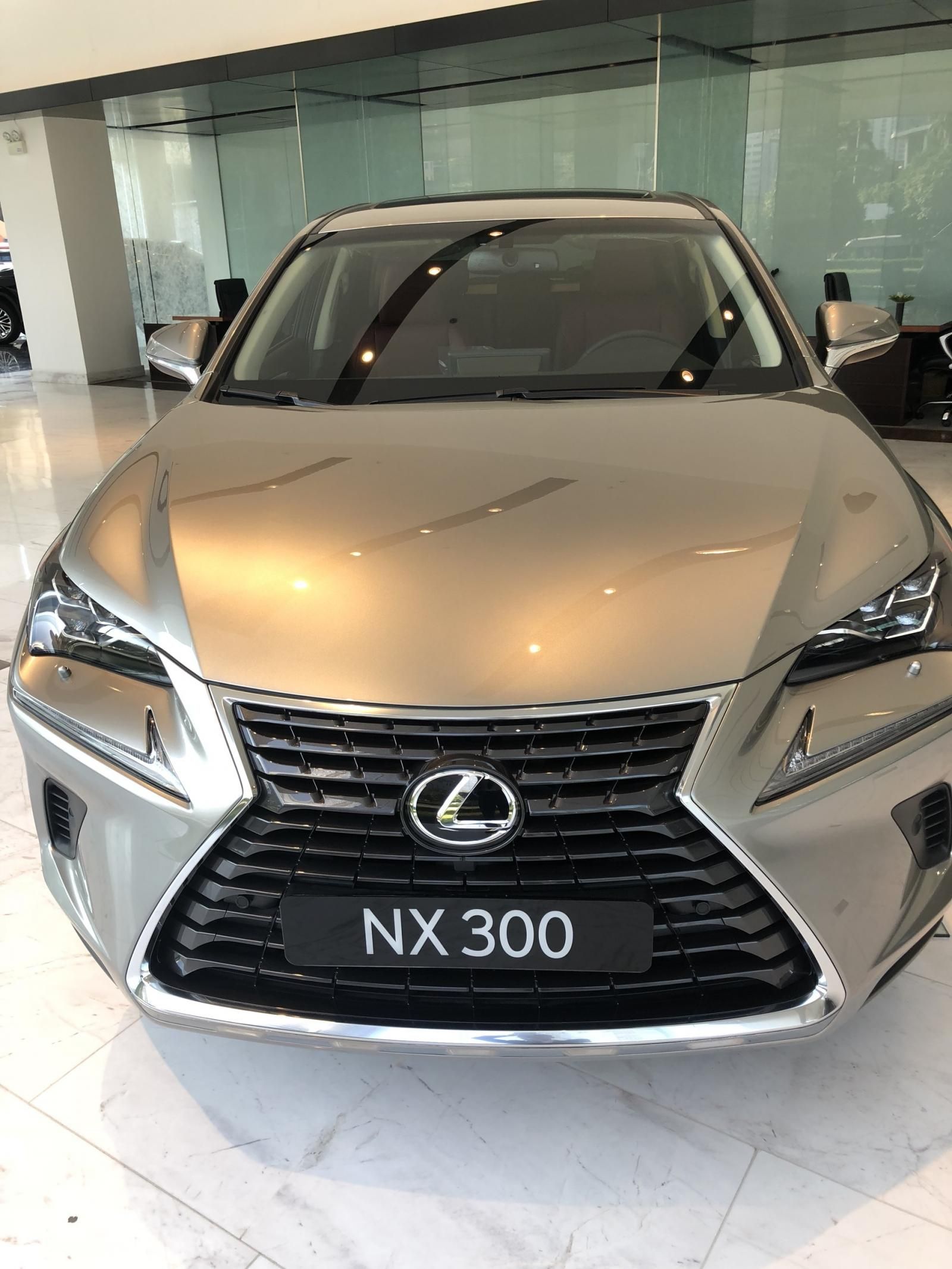 Lexus NX 2019 - Bán giảm giá cuối năm chiếc xe Lexus NX300, sản xuất 2019, màu bạc, nhập khẩu nguyên chiếc