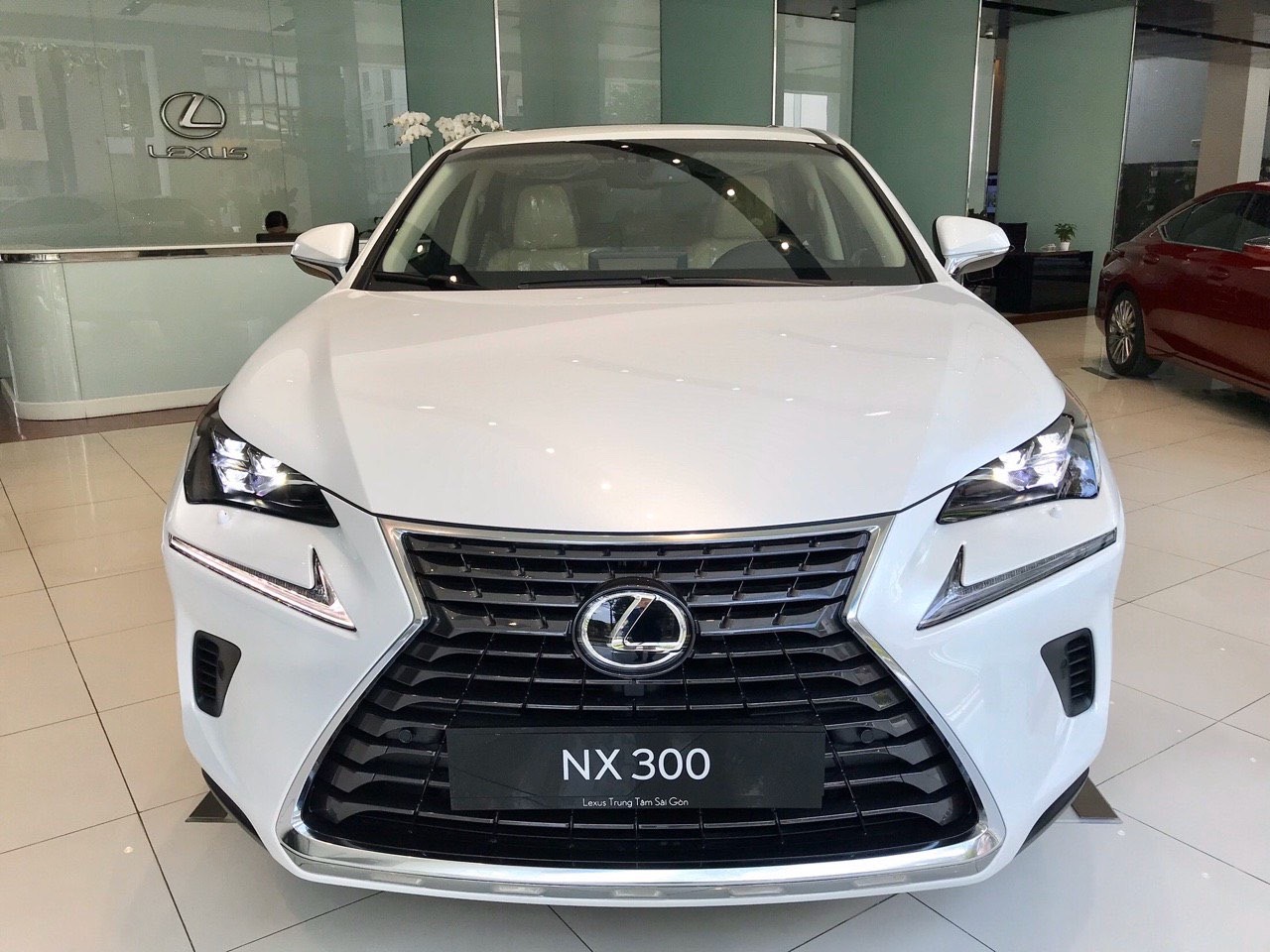Lexus NX 2019 - Bán Lexus NX đời 2019, nhập khẩu nguyên chiếc