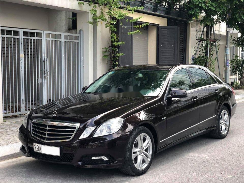 Mercedes-Benz E class E250  2010 - Bán Mercedes E250 đời 2010, màu nâu cafe