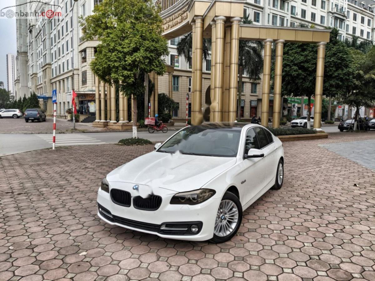 BMW 5 Series 2015 - Cần bán lại xe BMW 5 Series 520i 2015, màu trắng, nhập khẩu nguyên chiếc